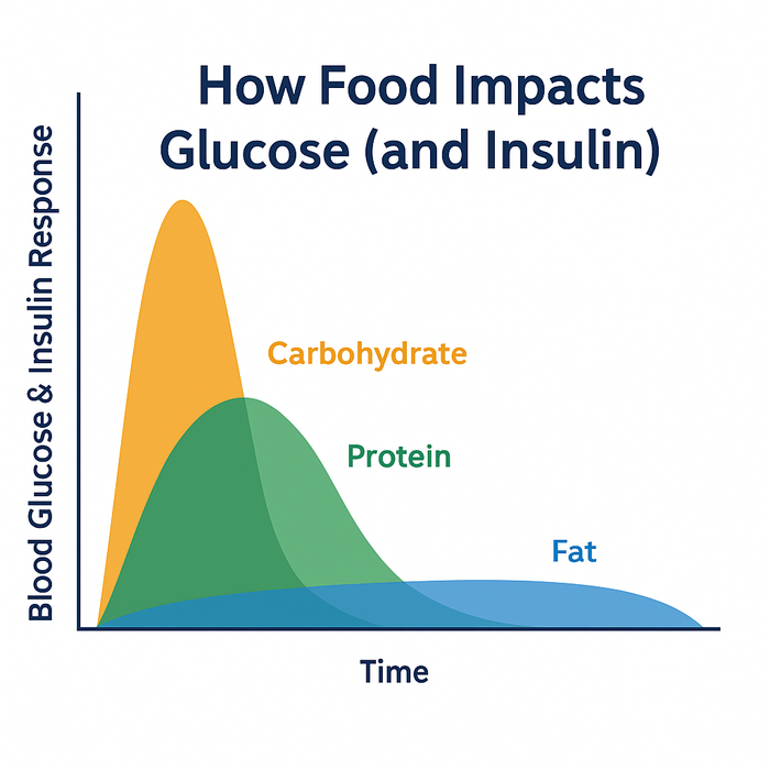 How carbohydrates, protein, and fat impact blood glucose and insulin over time—chart showing carb spike vs. steadier protein and fat responses.